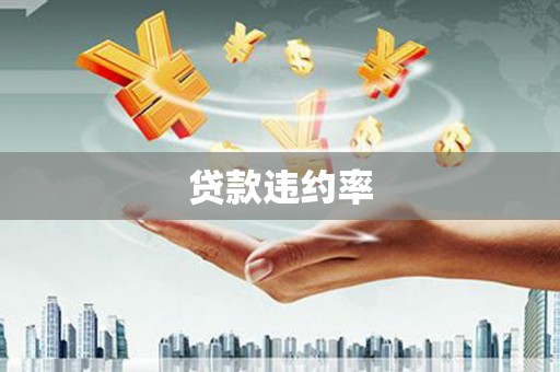 万源贷款违约率
