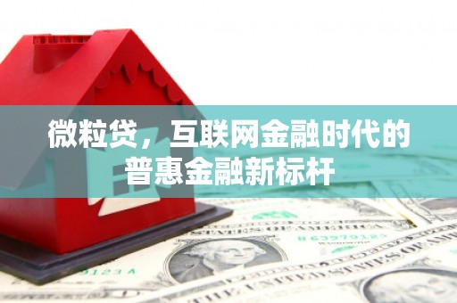 万源微粒贷，互联网金融时代的普惠金融新标杆