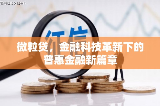 万源微粒贷，金融科技革新下的普惠金融新篇章