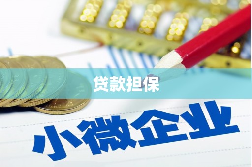 万源贷款担保