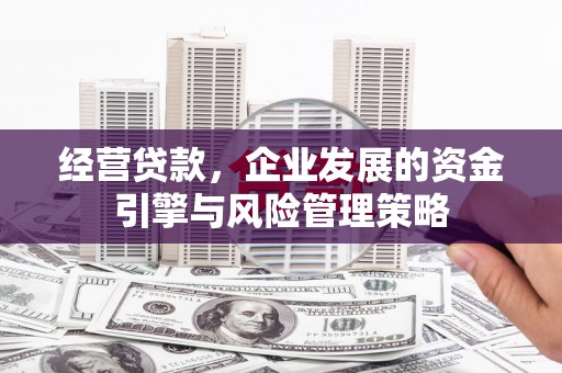 万源经营贷款，企业发展的资金引擎与风险管理策略