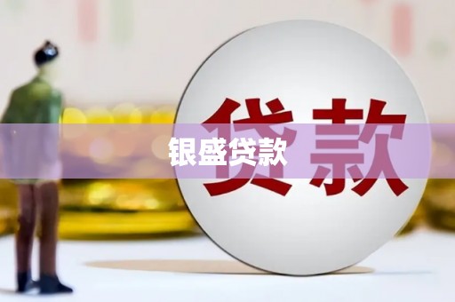 万源银盛贷款