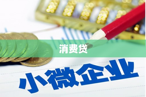 万源消费贷