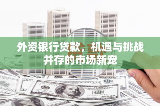 万源外资银行贷款，机遇与挑战并存的市场新宠