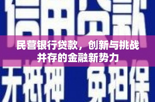 万源民营银行贷款，创新与挑战并存的金融新势力
