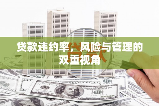 万源贷款违约率，风险与管理的双重视角