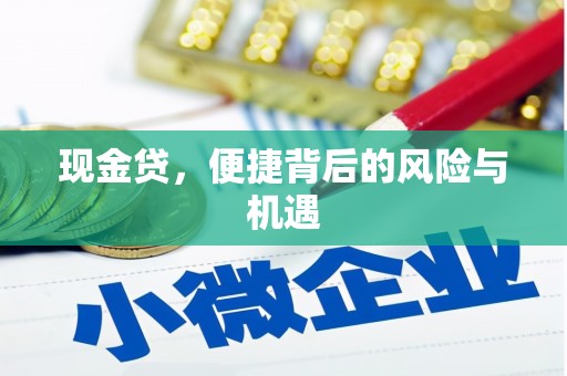 万源现金贷，便捷背后的风险与机遇