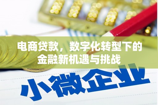 万源电商贷款，数字化转型下的金融新机遇与挑战