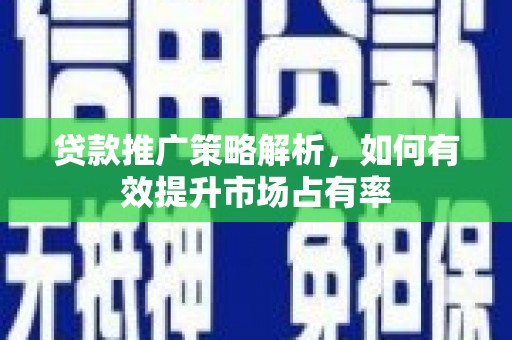 万源贷款推广策略解析，如何有效提升市场占有率