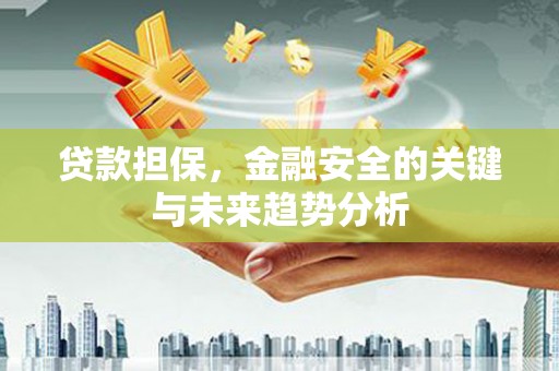 万源贷款担保，金融安全的关键与未来趋势分析