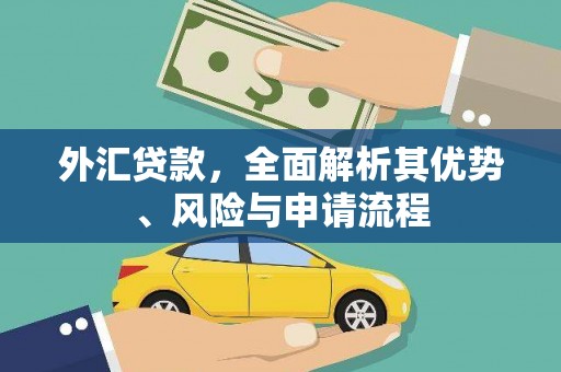 万源外汇贷款，全面解析其优势、风险与申请流程