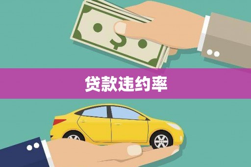 万源贷款违约率