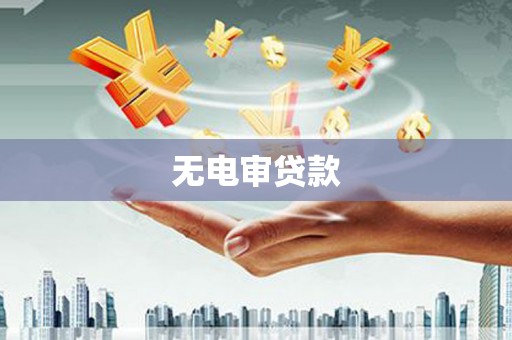 万源无电审贷款
