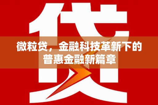 万源微粒贷，金融科技革新下的普惠金融新篇章
