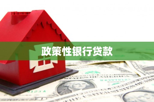 万源政策性银行贷款