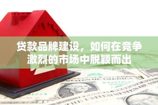万源贷款品牌建设，如何在竞争激烈的市场中脱颖而出