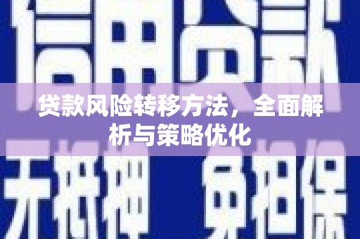 万源贷款风险转移方法，全面解析与策略优化