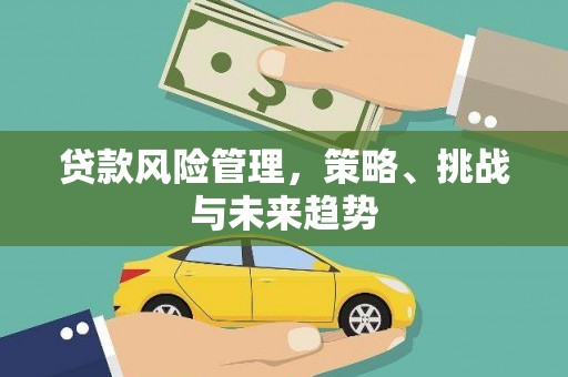 万源贷款风险管理，策略、挑战与未来趋势