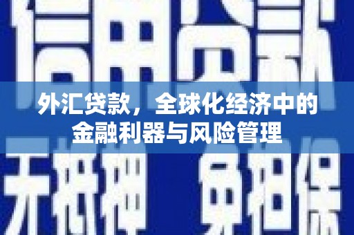 万源外汇贷款，全球化经济中的金融利器与风险管理