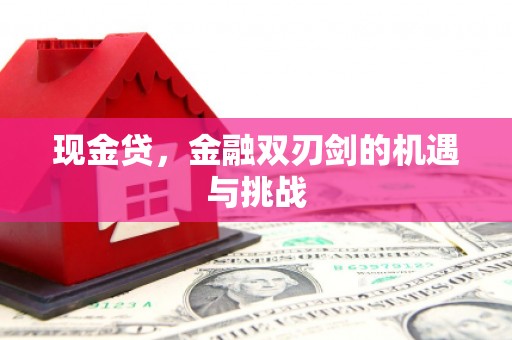 万源现金贷，金融双刃剑的机遇与挑战