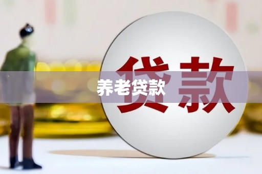 万源养老贷款