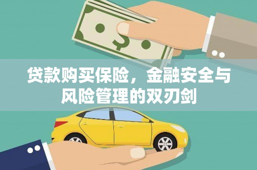 万源贷款购买保险，金融安全与风险管理的双刃剑