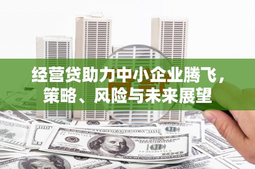 万源经营贷助力中小企业腾飞，策略、风险与未来展望