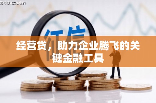 万源经营贷，助力企业腾飞的关键金融工具