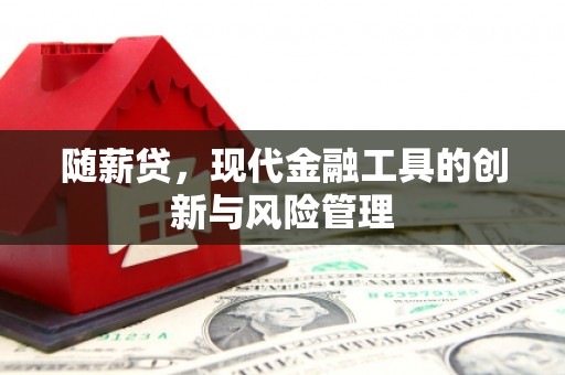 万源随薪贷，现代金融工具的创新与风险管理