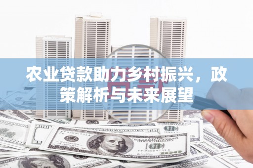 万源农业贷款助力乡村振兴，政策解析与未来展望