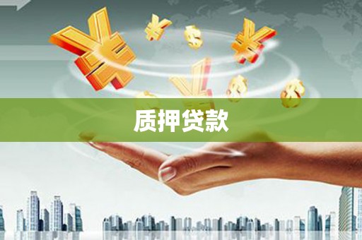 万源质押贷款