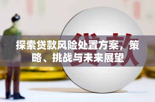 万源探索贷款风险处置方案，策略、挑战与未来展望