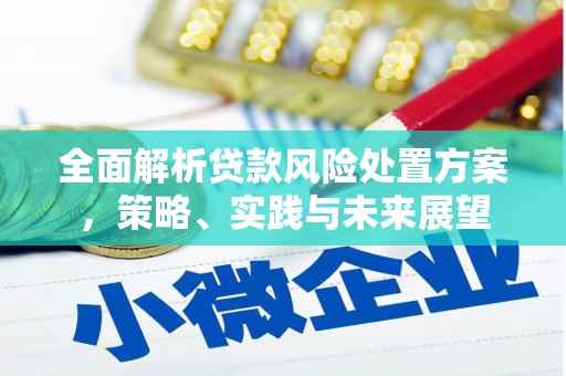 万源全面解析贷款风险处置方案，策略、实践与未来展望