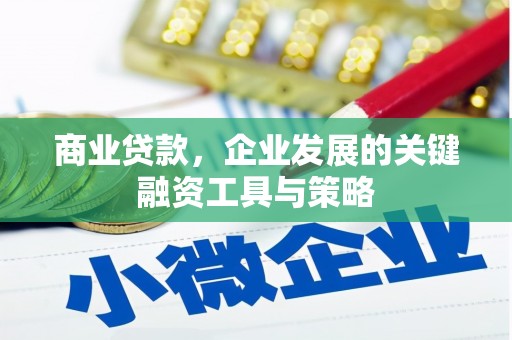 万源商业贷款，企业发展的关键融资工具与策略