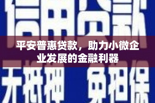 万源平安普惠贷款，助力小微企业发展的金融利器