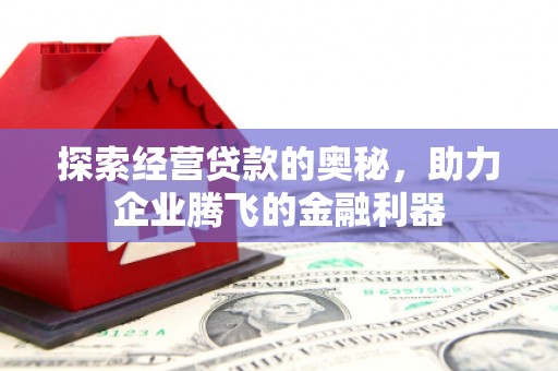 万源探索经营贷款的奥秘，助力企业腾飞的金融利器