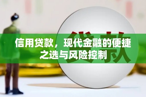 万源信用贷款，现代金融的便捷之选与风险控制