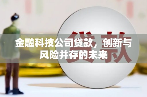 万源金融科技公司贷款，创新与风险并存的未来