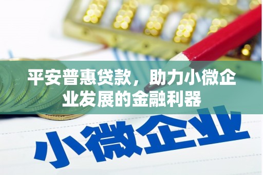 万源平安普惠贷款，助力小微企业发展的金融利器