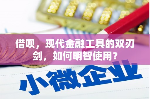 万源借呗，现代金融工具的双刃剑，如何明智使用？