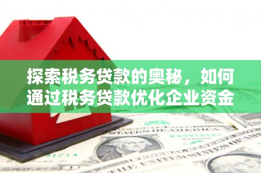 万源探索税务贷款的奥秘，如何通过税务贷款优化企业资金流