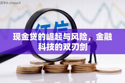 万源现金贷的崛起与风险，金融科技的双刃剑