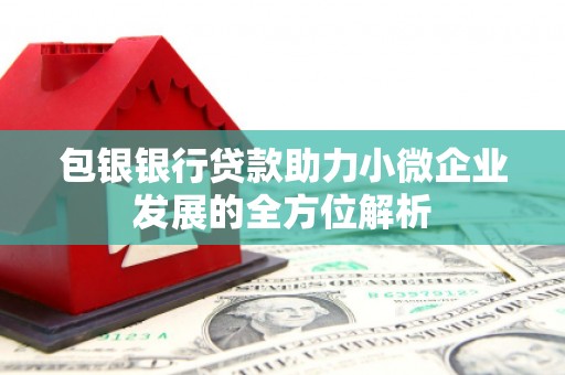 万源包银银行贷款助力小微企业发展的全方位解析 万源包银银行贷款助力小微企业发展的全方位解析
