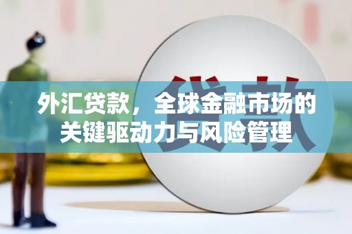 万源外汇贷款，全球金融市场的关键驱动力与风险管理