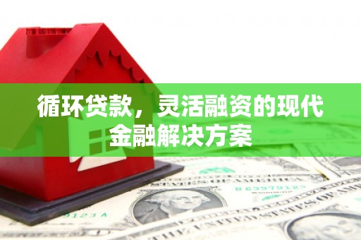 万源循环贷款，灵活融资的现代金融解决方案