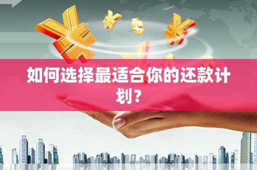 万源如何选择最适合你的还款计划？