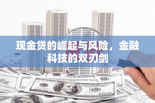 万源现金贷的崛起与风险，金融科技的双刃剑