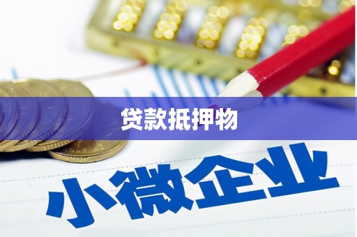 万源贷款抵押物