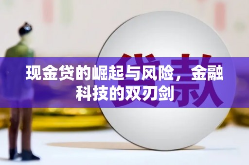 万源现金贷的崛起与风险，金融科技的双刃剑