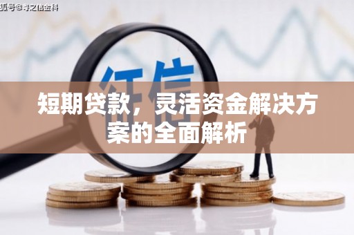 万源短期贷款，灵活资金解决方案的全面解析